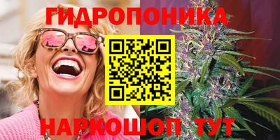 ALPHA PVP Кунгур