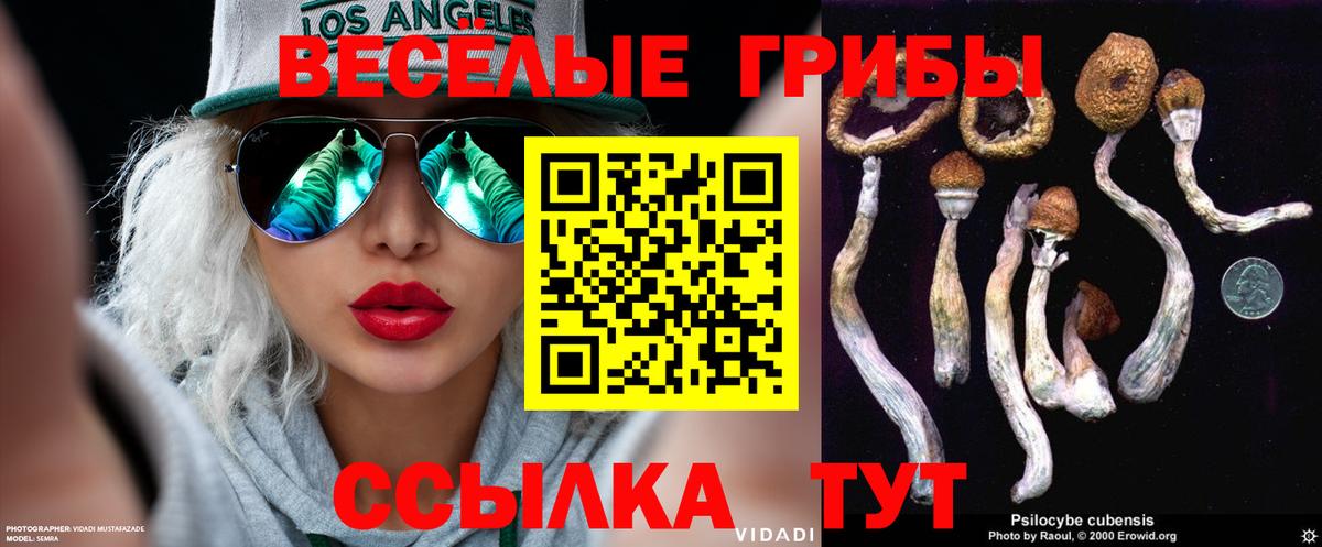 Ижевск  Псилоцибиновые грибы мухоморы  Вход с VPN 